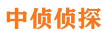 香坊市私家侦探